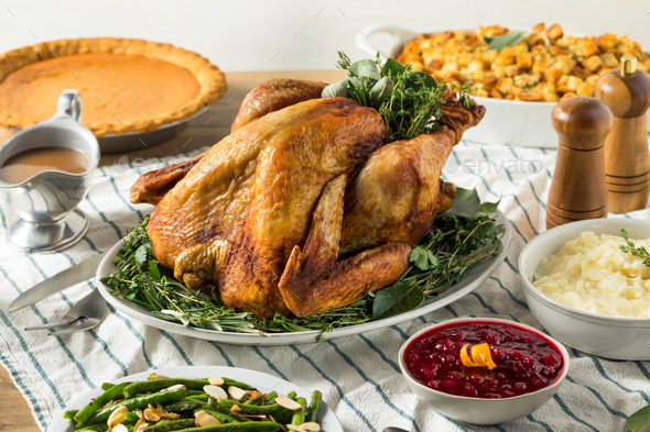 Homemade Thanksgiving Turkey Dinner with Potatoes - Stock Photo - Images