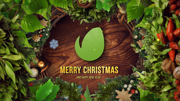 ChristmasNew Year Logo - VideoHive 25064016