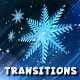 Winter Transitions Pack