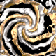 Gold Silver Liquid Spiral Gold Silver Liquid Spiral - VideoHive Item for Sale