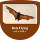 Bats Flying Sounds