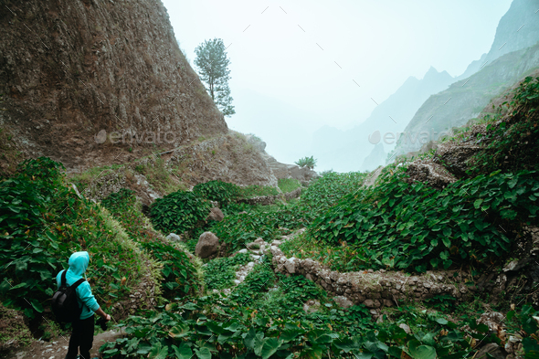 Male hiker walking through a wondrous misty landscape. Huge rocks surround a fertile ravine full of