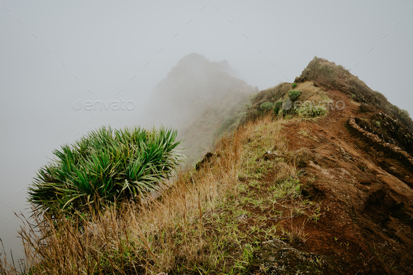 Misty trail leads along the mountain ridge. Path and steep slopes hidden in the fog. Santo Antao