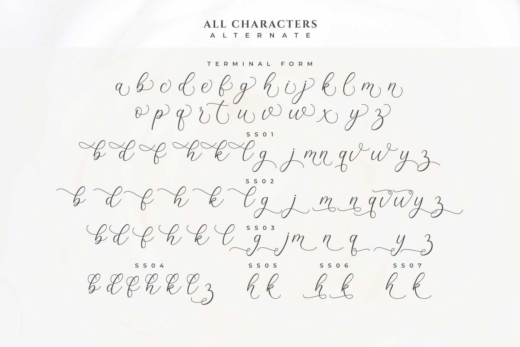 Lizelie Calligraphy font, Fonts | GraphicRiver