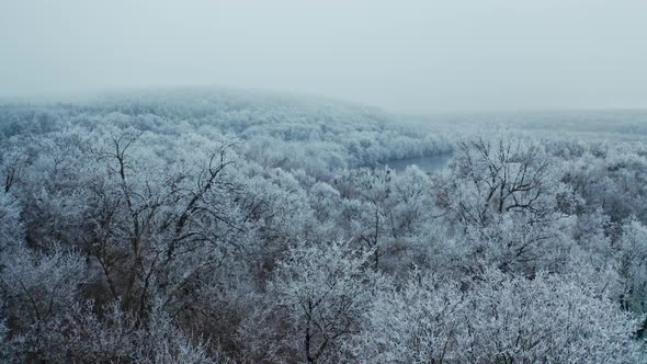 Nature in winter. White trees in snow frost. Panoramic view of nature landscape alt