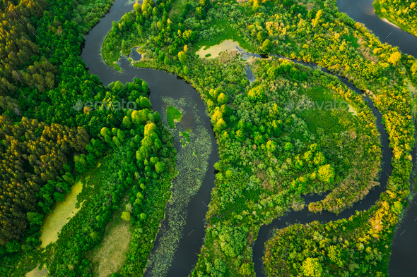 Aerial View Green Forest Woods And River Landscape In Sunny Spri - Stock Photo - Images