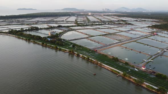 Fish farm and shrimp darm alt