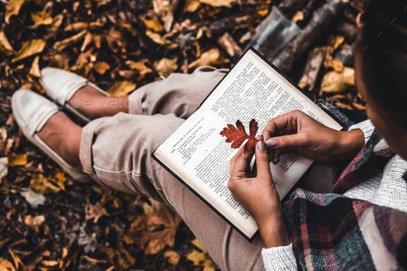 Autumn concept, an open book in the hands of a girl with yellow leaves - Stock Photo - Images