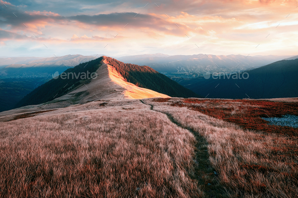 View of the grassy hills - Stock Photo - Images