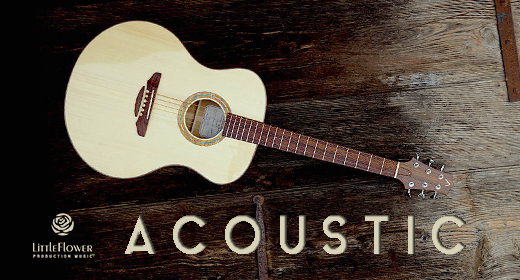 Acoustic Folk