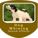 Dog Whining Sound