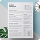 Resume / CV - GraphicRiver Item for Sale