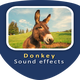 Donkey Sounds