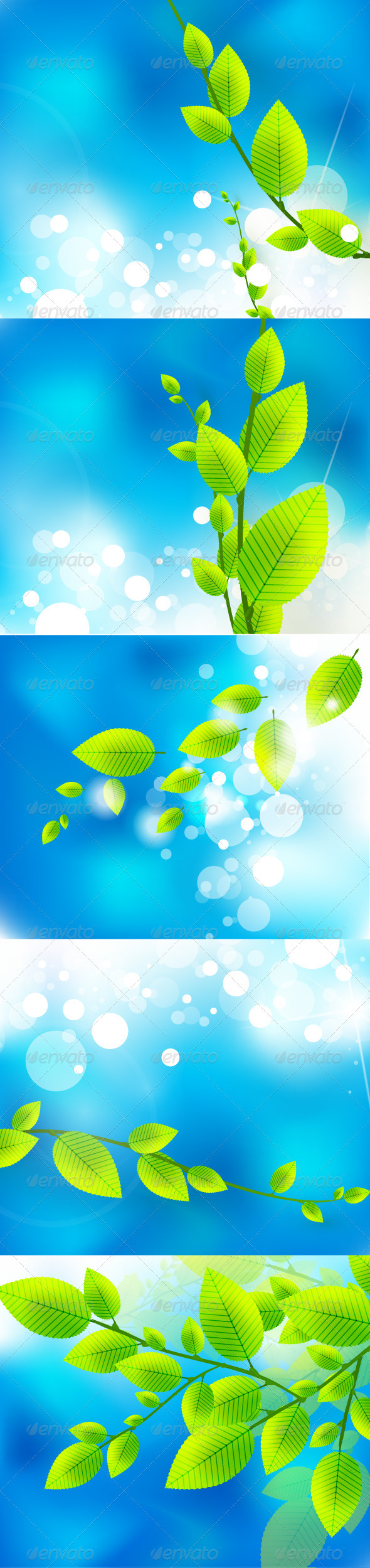 Vector Green Tender Leaves - Flowers & Plants Nature