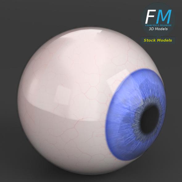 Human eyeball - 3Docean 25178169