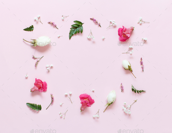 Flowers on a light pink background Stock Photo by katrinshine | PhotoDune