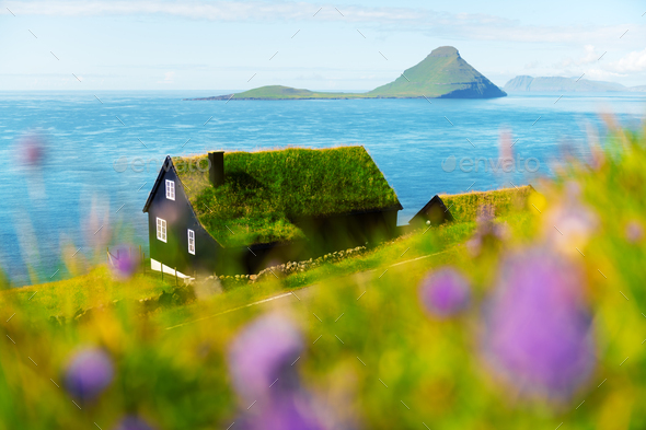 Foggy morning view of a house with typical grass roof - Stock Photo - Images