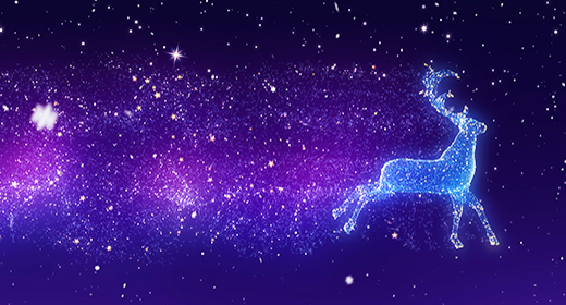 Christmas and New Year