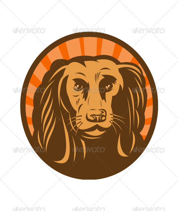 Golden Retriever Hunting Dog Head