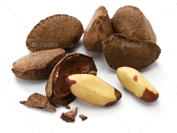 picture of brazil nuts