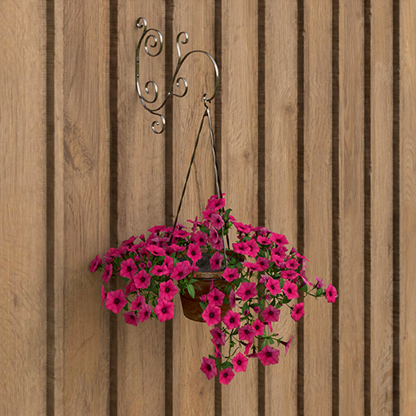 Hanging flower - 3Docean 25211328