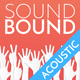Acoustic Background