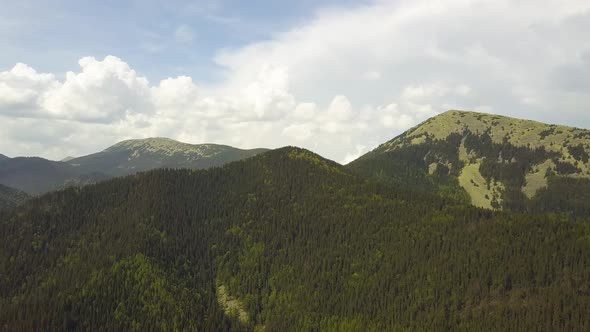 Aerial view of high mountains covered with green spruce forest in cloudy summer weather. alt