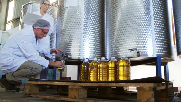 Technician examining olive oil alt