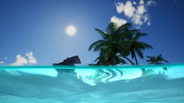 Split View Cross Section of Sea Water and Palm Trees on Island alt