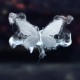 Merging Butterflies Logo Reveal