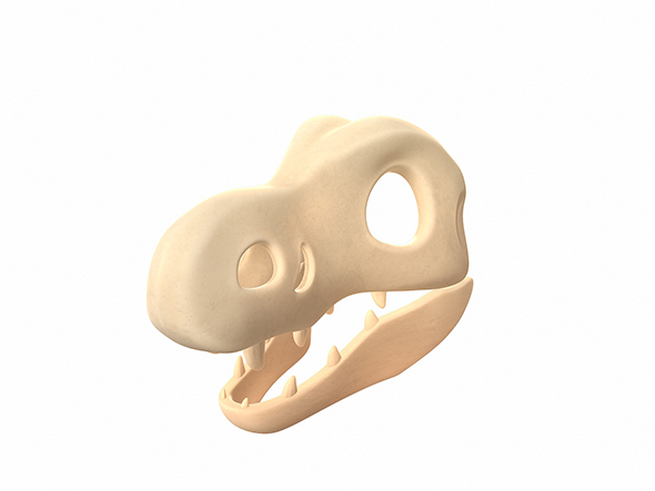 Dinosaur Skull - 3Docean 25251080