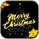 Christmas and New Year Gold Logo - VideoHive Item for Sale