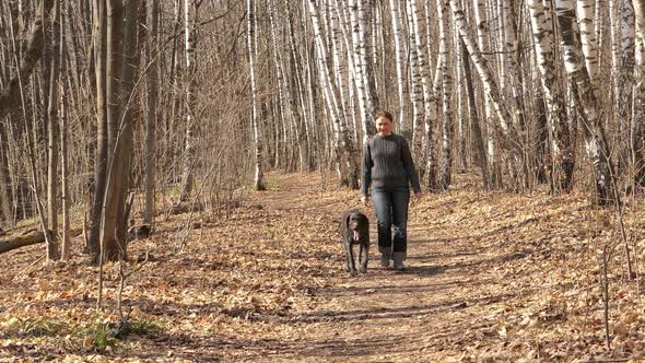 The Girl Walks with the Dog in the Forest in