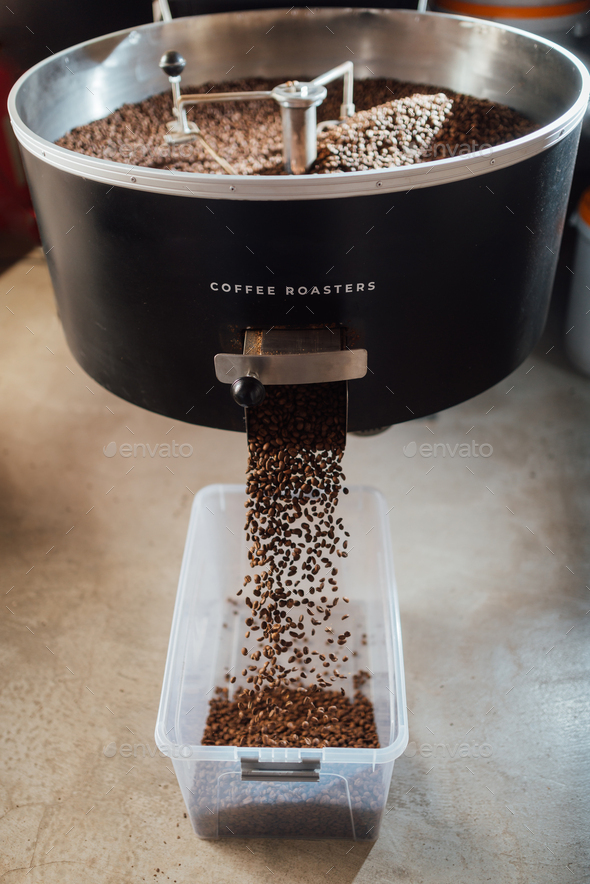 freshly roasted coffee is poured from the mixer for cooling into plastic transparent tray
