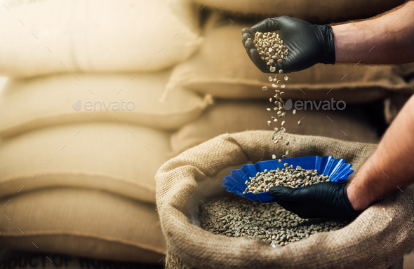 pouring coffee from a burlap bag into a bowl for tasting, - Stock Photo - Images