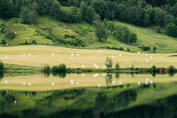 Jolster, Sogn Og Fjordane, Norway. Beautiful Summer Field Landscape With Hay Bales During Harvest - Stock Photo - Images