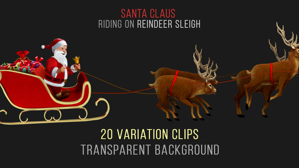 Santa Claus Riding Reindeer Sleigh - 20 Clips - HD