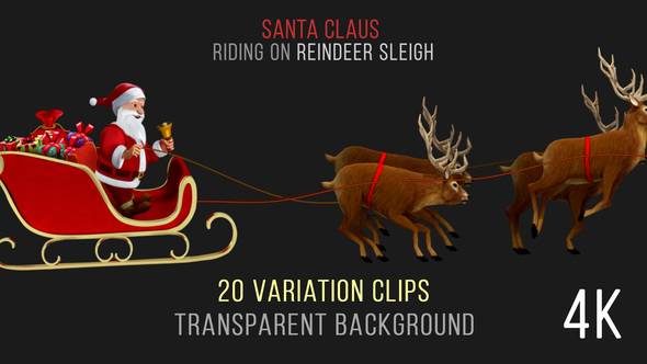 Santa Claus Riding Reindeer Sleigh - 20 Clips - 4K
