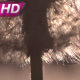 Flying Dandelion Umbrellas - VideoHive Item for Sale