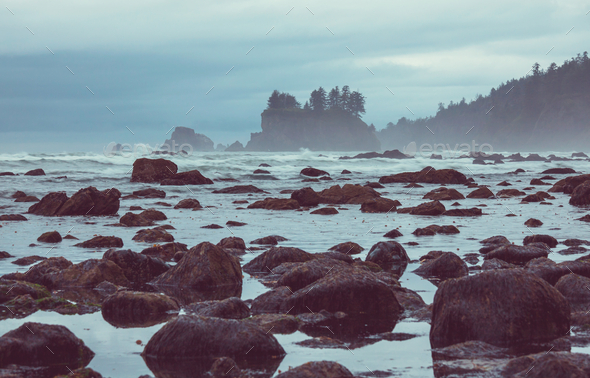 Olympic coast - Stock Photo - Images