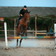 Horsewoman riding on brown horse and jumping the fence in sandy parkour riding arena - PhotoDune Item for Sale