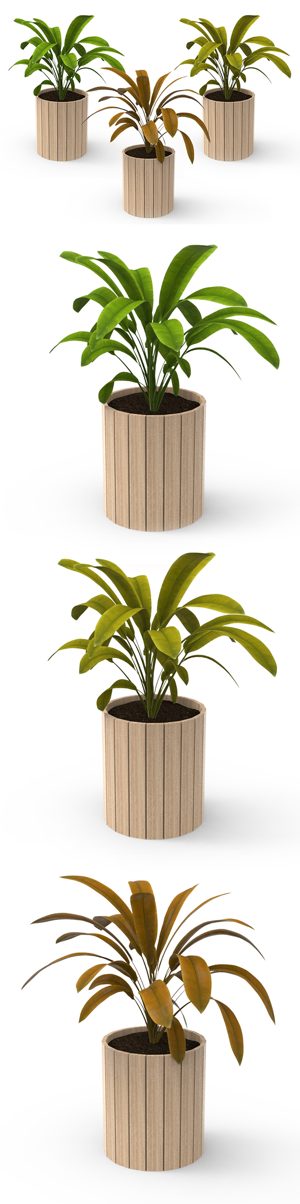 Houseplants - 3Docean 25293074