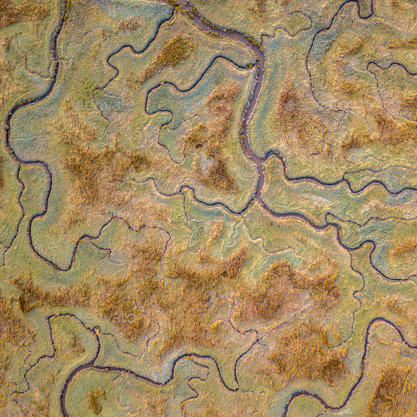 Aerial view of tidal marshland sq - Stock Photo - Images