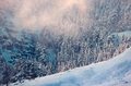 Amazing winter landscape - PhotoDune Item for Sale