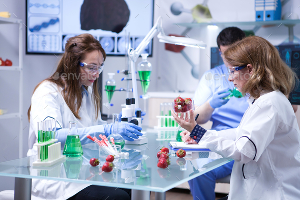 Caucasian female scientist holding a box of strawberries after doing biological tests - Stock Photo - Images