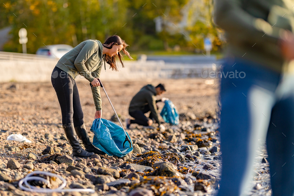 Dedicated volunteers cleaning beach on sunny day - Stock Photo - Images