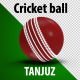 Test/Red Cricket Ball Rotations and Background - VideoHive Item for Sale