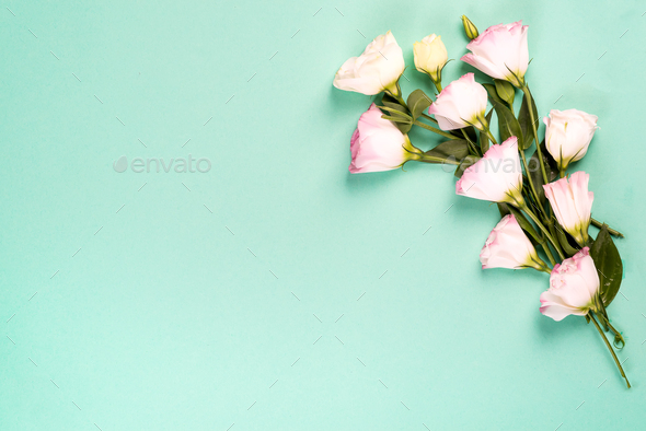 Frame composition with empty space in the center made of blooming pink eustoma, flat lay. Floral - Stock Photo - Images