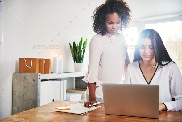 Two young female business partners - Stock Photo - Images
