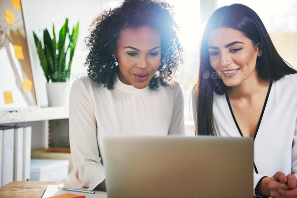 Successful dedicated young businesswomen - Stock Photo - Images